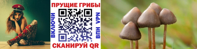 Псилоцибиновые грибы мицелий  Георгиевск 