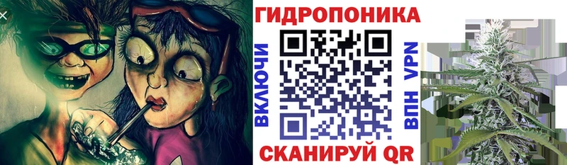 где найти наркотики  mega   МАРИХУАНА LSD WEED  Георгиевск 
